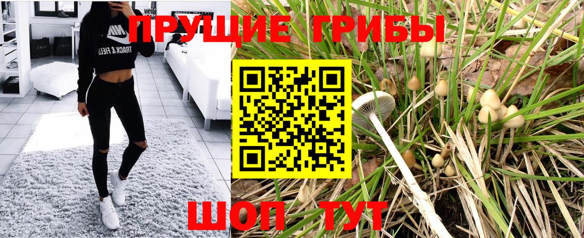 Конаково  Галлюциногенные грибы Cubensis  Вход с VPN  Псилоцибиновые грибы Psilocybine cubensis 